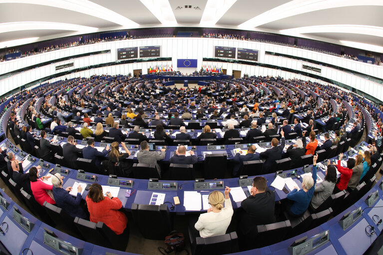 Foto 11: EP Plenary session - Voting session