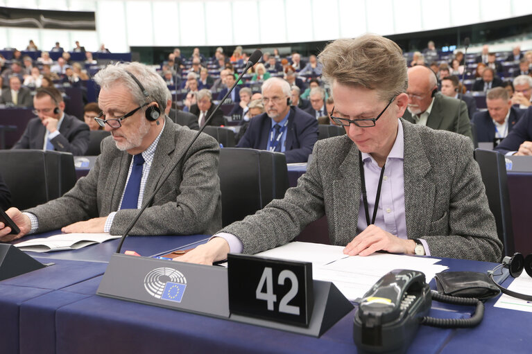 Foto 33: EP Plenary session - Voting session