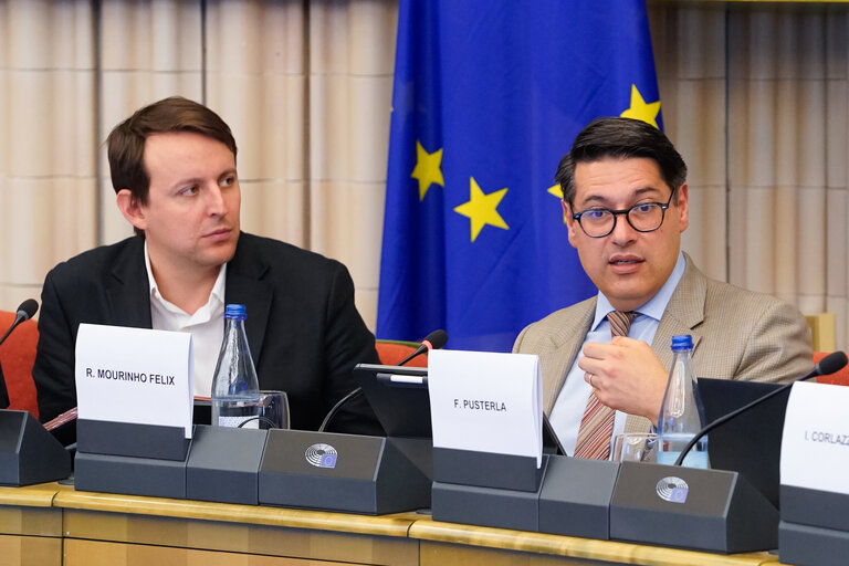 Delegation to the Euro-Latin American Parliamentary Assembly Meeting