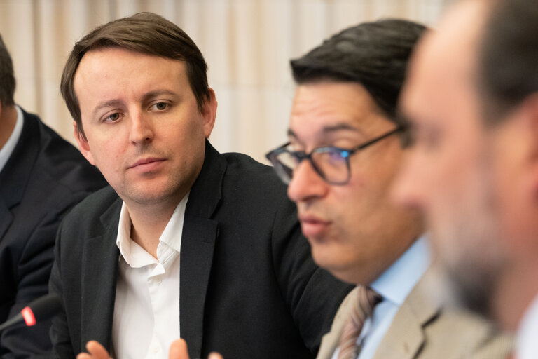 Delegation to the Euro-Latin American Parliamentary Assembly Meeting
