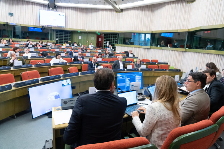 Delegation to the Euro-Latin American Parliamentary Assembly Meeting