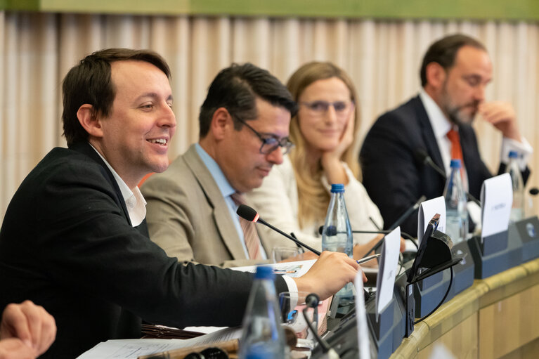 Delegation to the Euro-Latin American Parliamentary Assembly Meeting