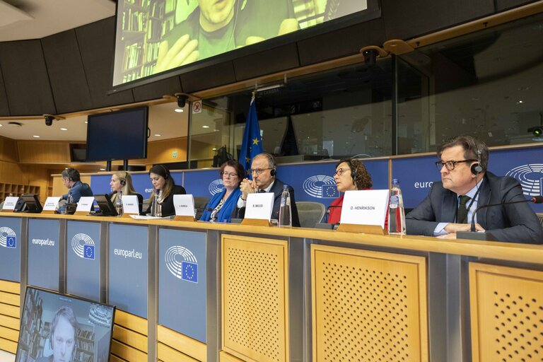 Fotografija 5: Meeting of the Delegation to the Parliamentary Assembly of the Union for the Mediterranean