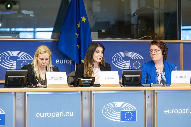 Fotografija 11: Meeting of the Delegation to the Parliamentary Assembly of the Union for the Mediterranean