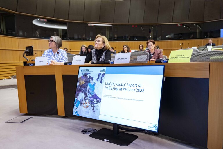 Photo 11: FEMM LIBE joint meeting - UNODC Global Report on trafficking in persons 2022
