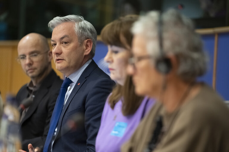 Photo 12 : FEMM hearing backlash against women's rights