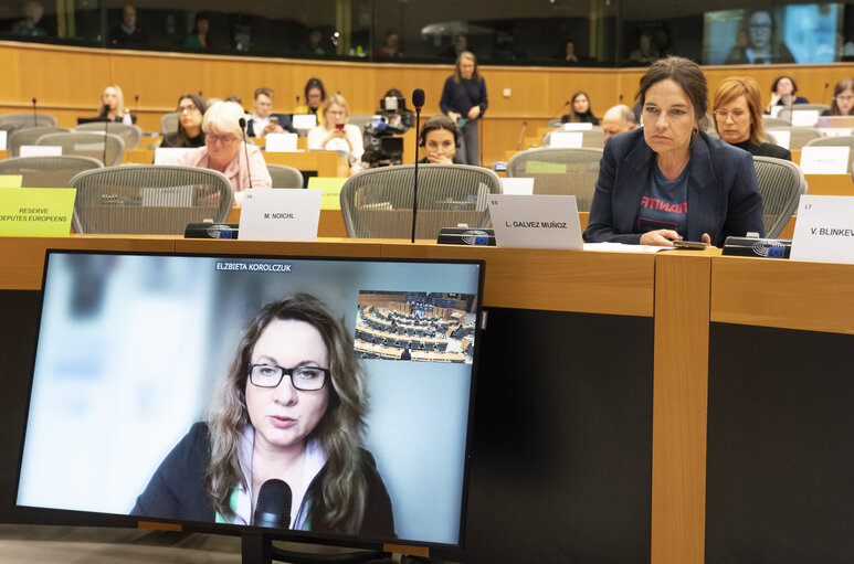 Photo 3 : FEMM hearing backlash against women's rights