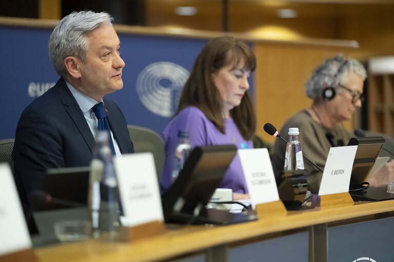 Photo 14 : FEMM hearing backlash against women's rights