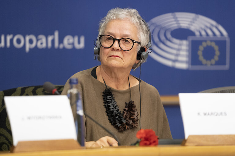 Photo 1 : FEMM hearing backlash against women's rights