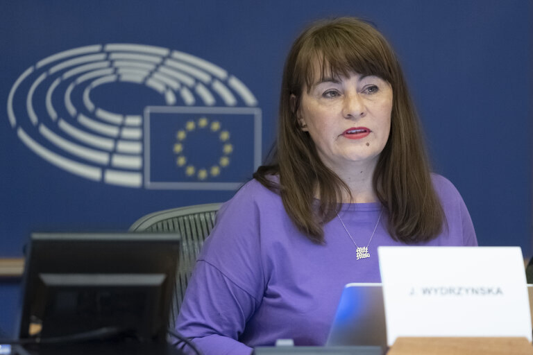 Photo 8 : FEMM hearing backlash against women's rights