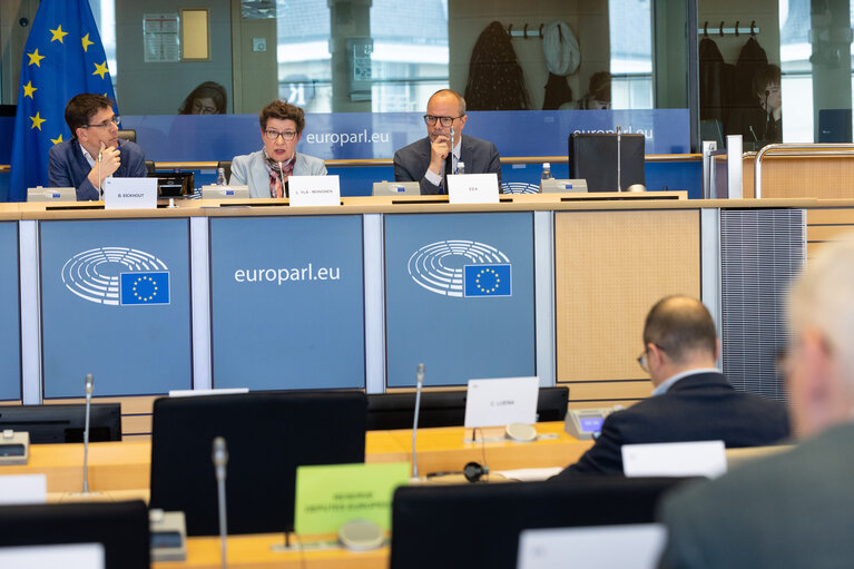 ENVI Committee - Hearing of the candidate for the function of the Executive Director of the European Environment Agency