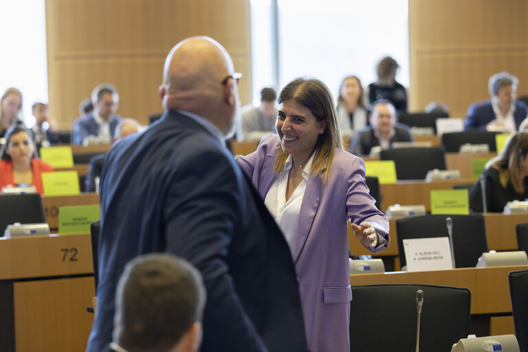 Fotografija 11: EMPLCommittee - Election of the first Vice-Chair