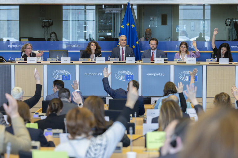 Fotografija 2: EMPLCommittee - Election of the first Vice-Chair