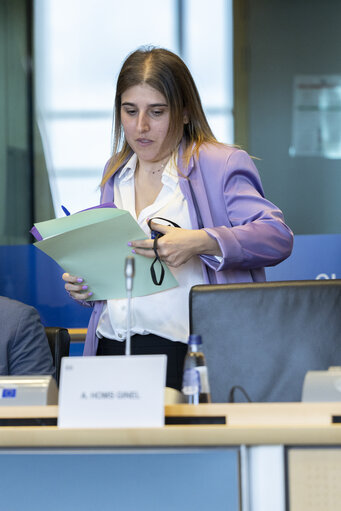 Fotografija 4: EMPLCommittee - Election of the first Vice-Chair