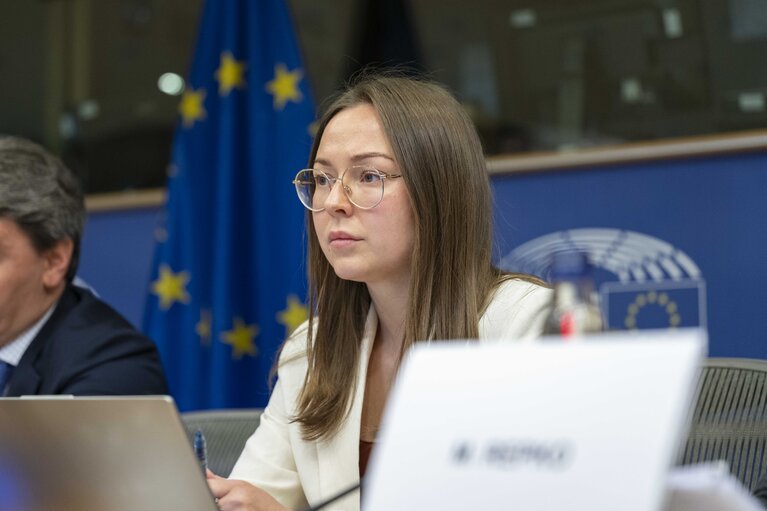 Fotografie 2: BUDG Public hearing - Financial impact of the war in Ukraine: current and future challenges for the EU Budget