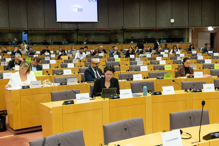 Fotografija 9: INTA public hearing - Reinforcing EU-Latin America Trade Relations