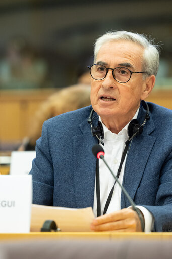 Fotografija 10: INTA public hearing - Reinforcing EU-Latin America Trade Relations