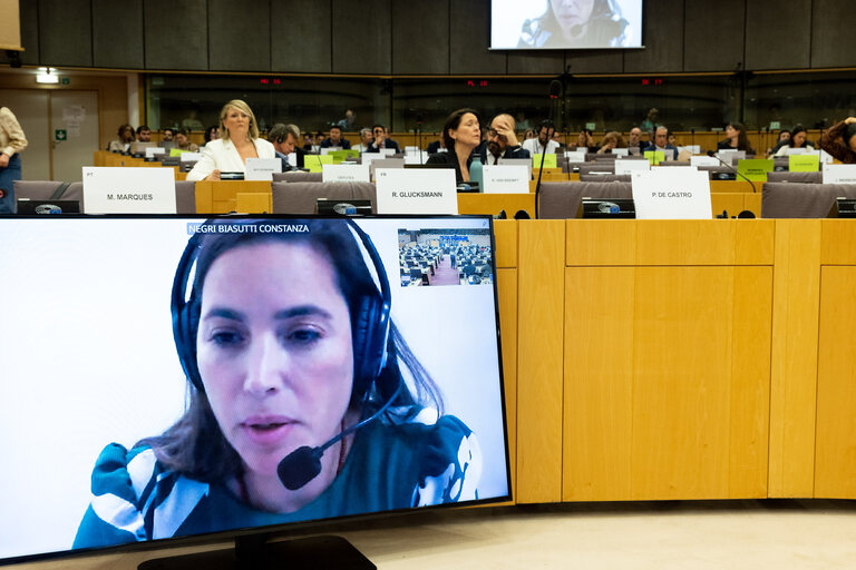 Fotografija 6: INTA public hearing - Reinforcing EU-Latin America Trade Relations