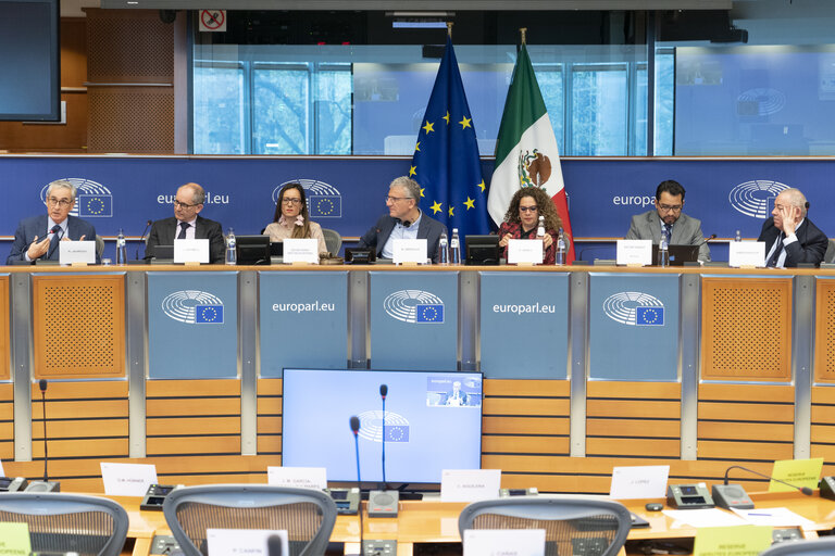 Zdjęcie 14: 29th meeting of the Joint Parliamentary Committee EU-Mexico