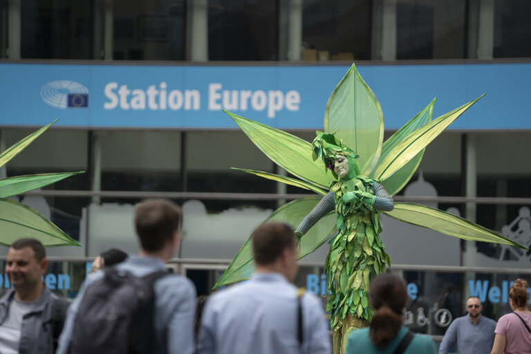 Valokuva 5: Open Days at the European Parliament in Brussels