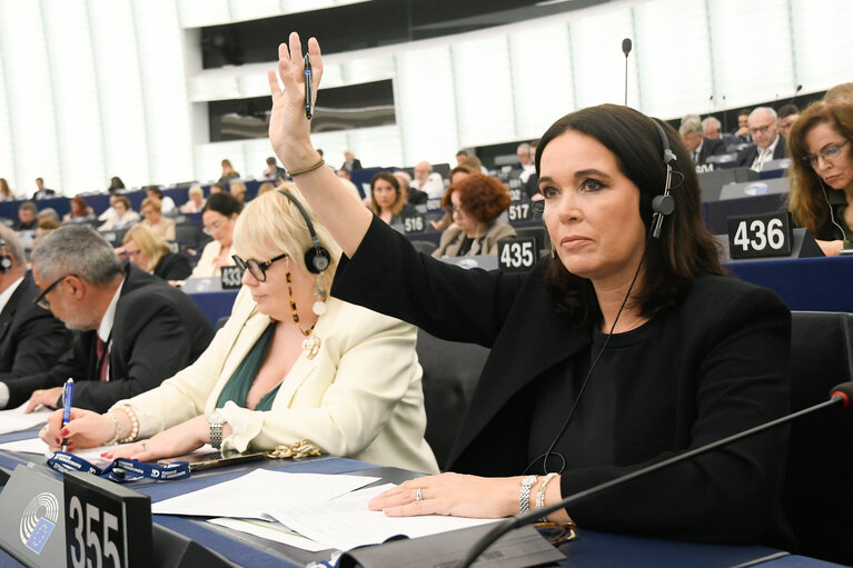 EP Plenary session - Voting session
