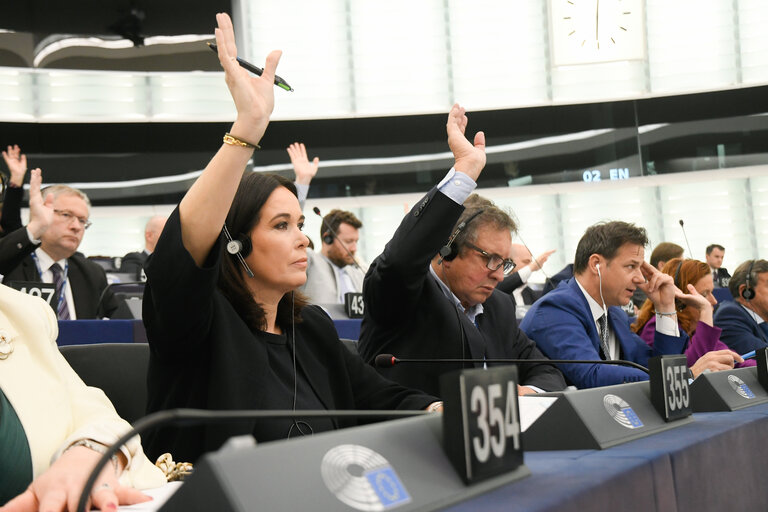EP Plenary session - Voting session