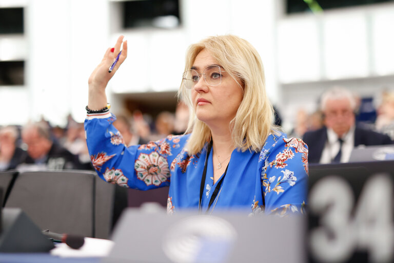 EP Plenary session - Voting session