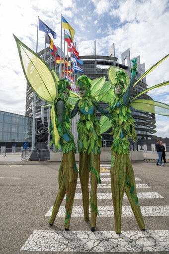 Valokuva 37: Open Days at the European Parliament in Strasbourg