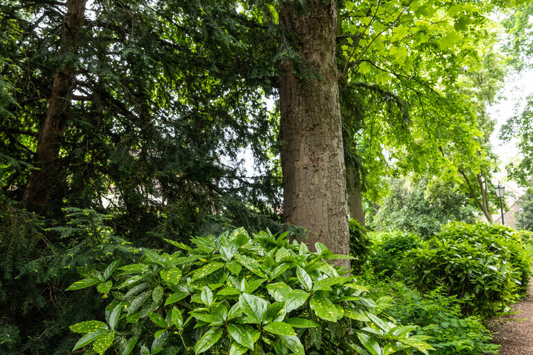 Fotografie 2: Citizens' Garden cultural season opening