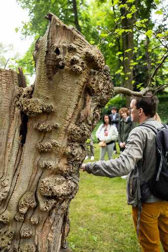 Zdjęcie 11: Citizens' Garden cultural season opening