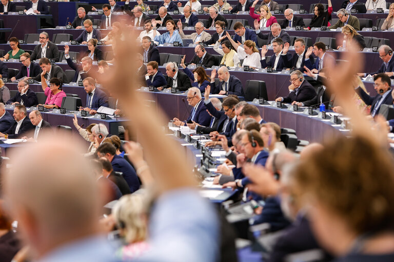 Valokuva 11: EP Plenary session - Voting session