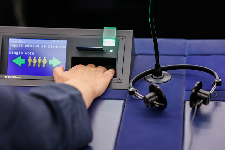 Fotogrāfija 16: EP Plenary session - Voting session