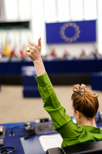 Nuotrauka 7: EP Plenary session - Voting session