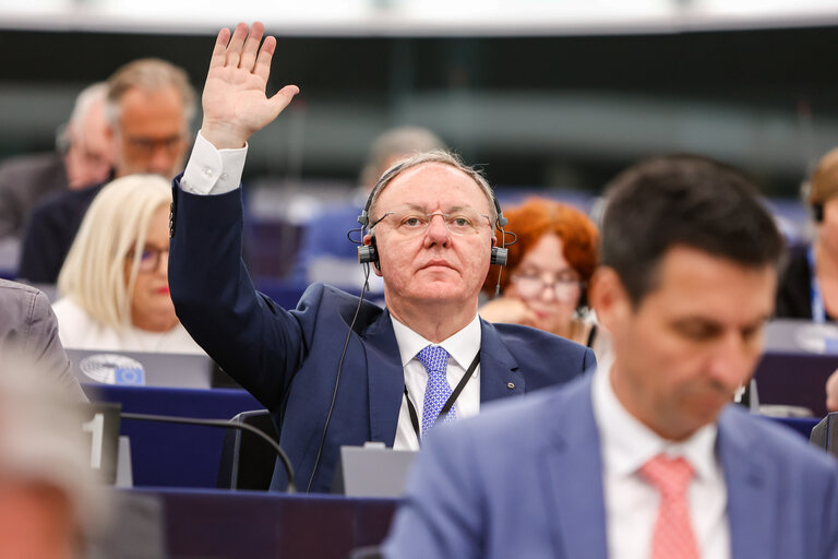 Zdjęcie 10: EP Plenary session - Voting session