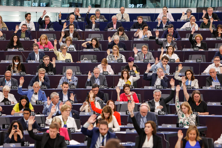 Nuotrauka 14: EP Plenary session - Voting session