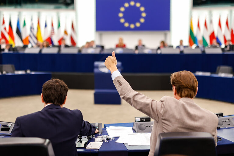 Photo 6 : EP Plenary session - Voting session