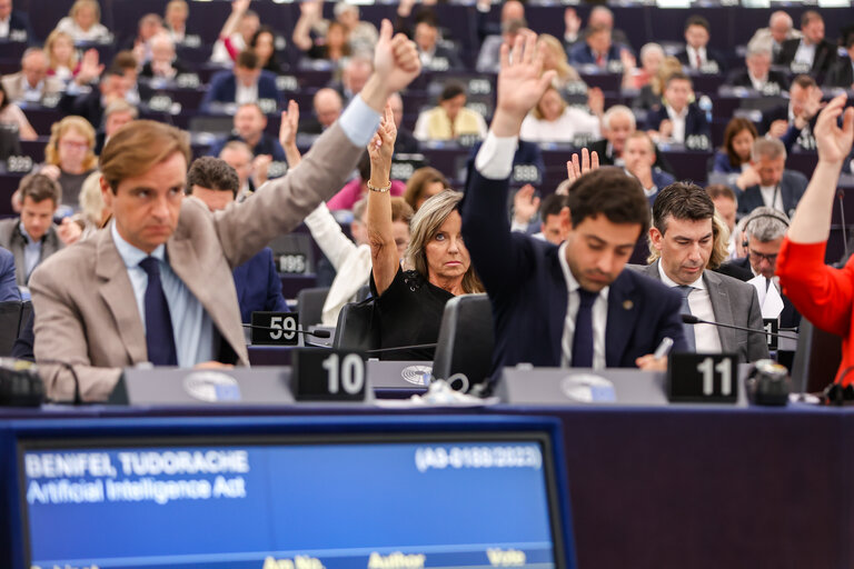 Valokuva 4: EP Plenary session - Voting session