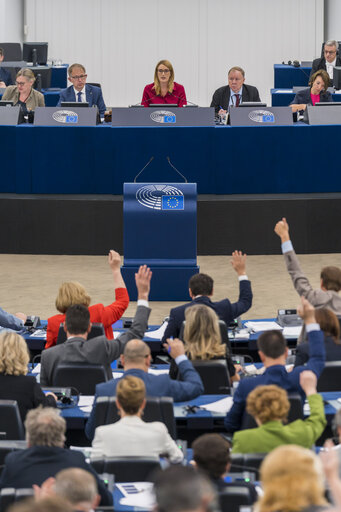 Photo 29 : EP Plenary session.- Voting session