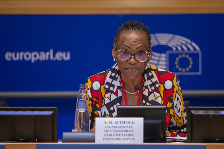 Fotografia 12: 43rd session of the ACP-EU Joint Parliamentary Assembly - Debate with EU and OACPS Ministers