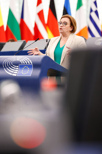 EP Plenary session - Short presentations