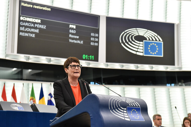 Photo 44 : EP Plenary session - Nature restoration