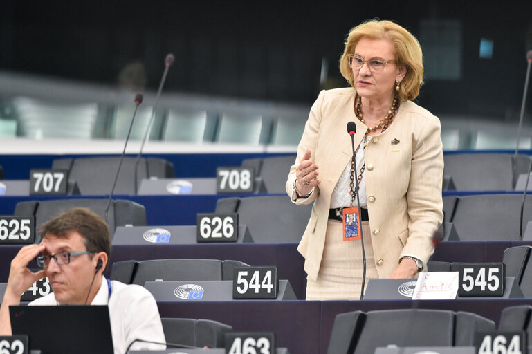 Photo 8 : EP Plenary session - Nature restoration