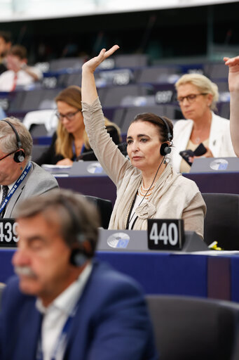 Fotografie 18: EP Plenary session - Voting session