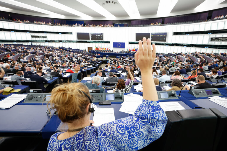 Fotografija 11: EP Plenary session - Voting session