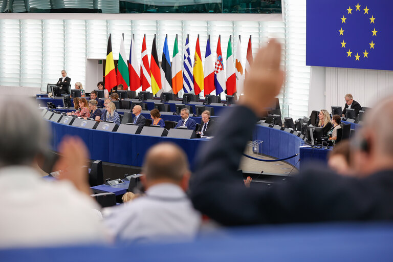 Fotó 9: EP Plenary session - Voting session