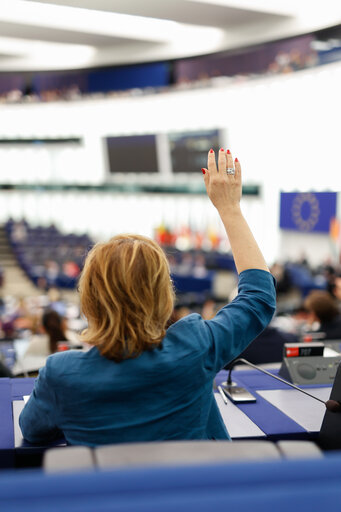 Fotó 6: EP Plenary session - Voting session