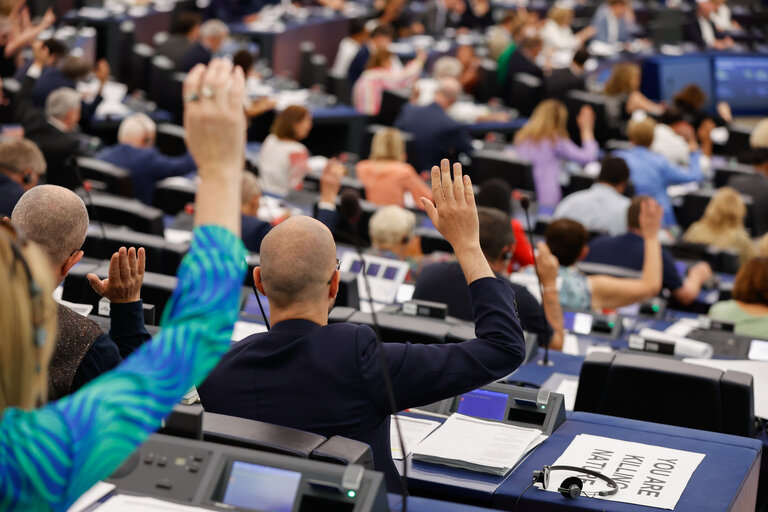 Billede 4: EP Plenary session - Voting session