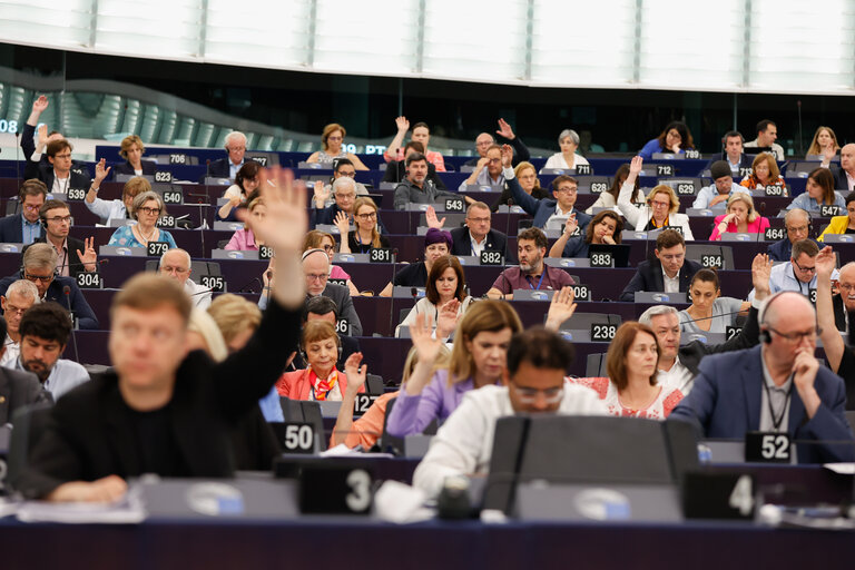 Billede 2: EP Plenary session - Voting session