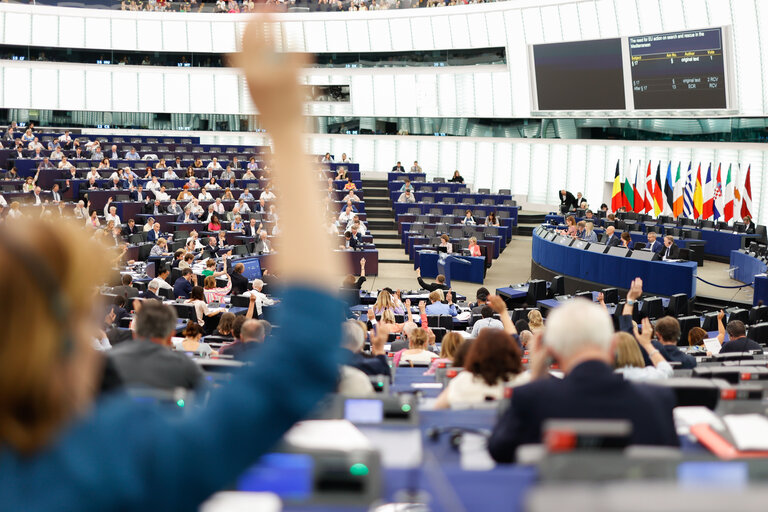 Fotagrafa 5: EP Plenary session - Voting session