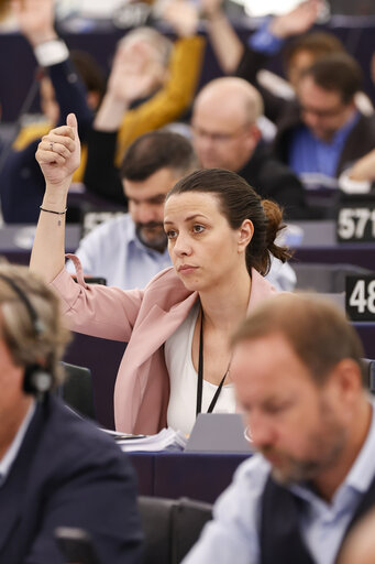 Zdjęcie 15: EP Plenary session - Voting session